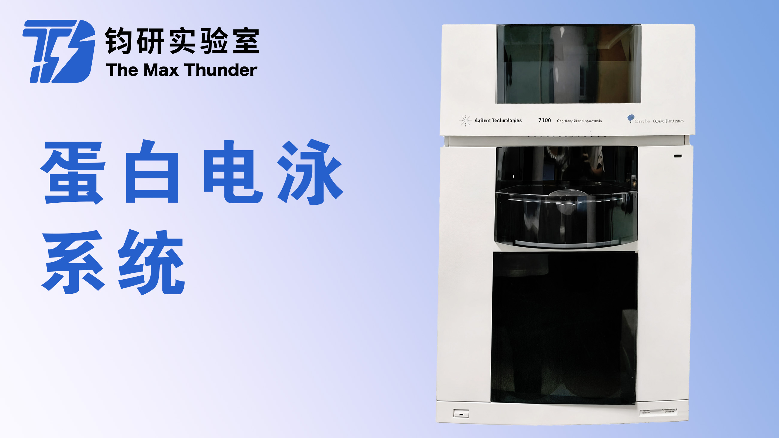 蛋白电泳系统