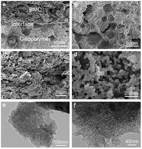 SEM vs TEM 怎么选?