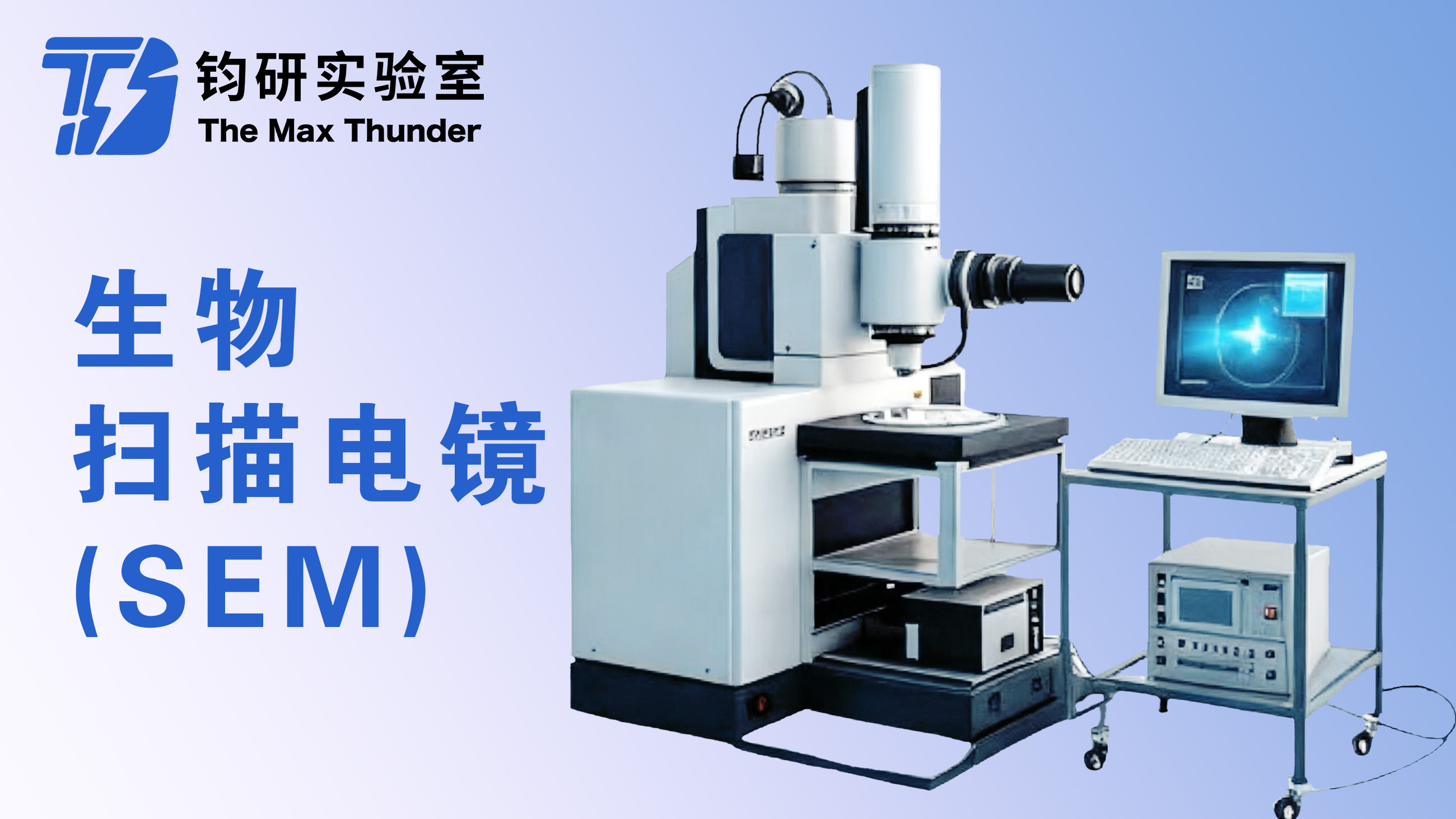 生物扫描电镜(SEM)