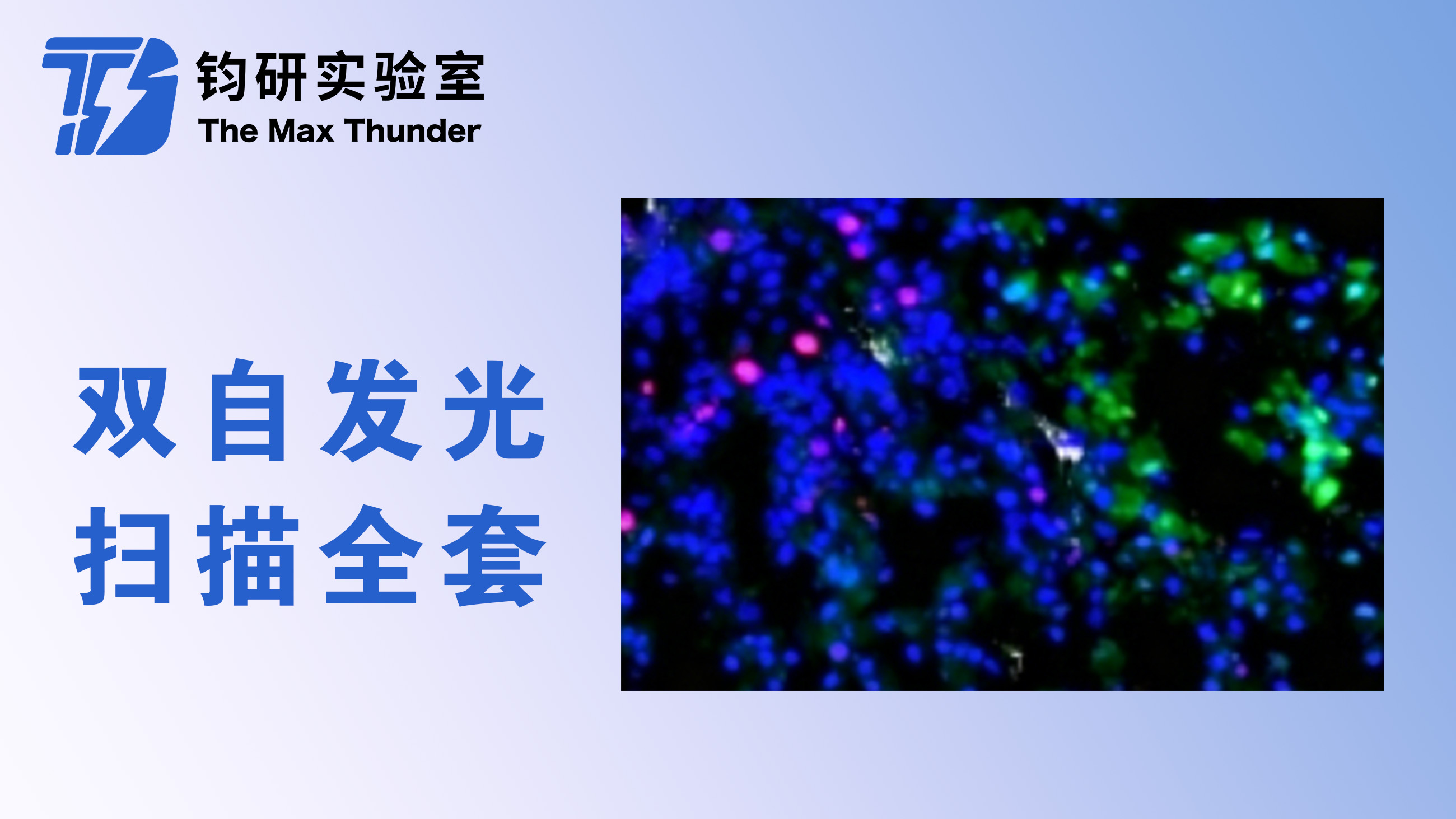 双自发光扫描全套