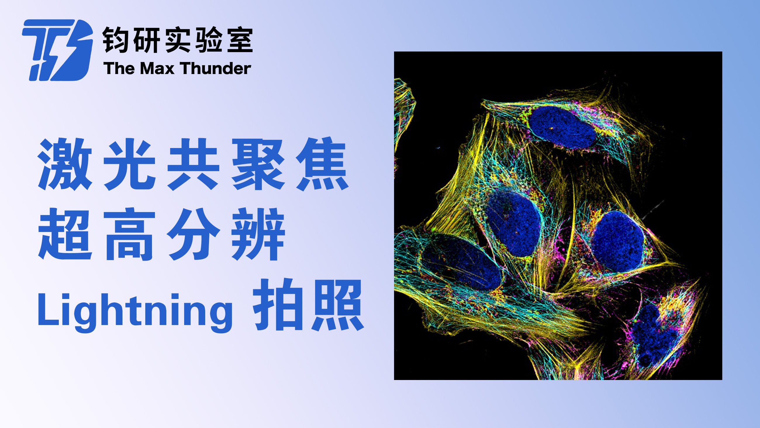 激光共聚焦超高分辨Lightning拍照