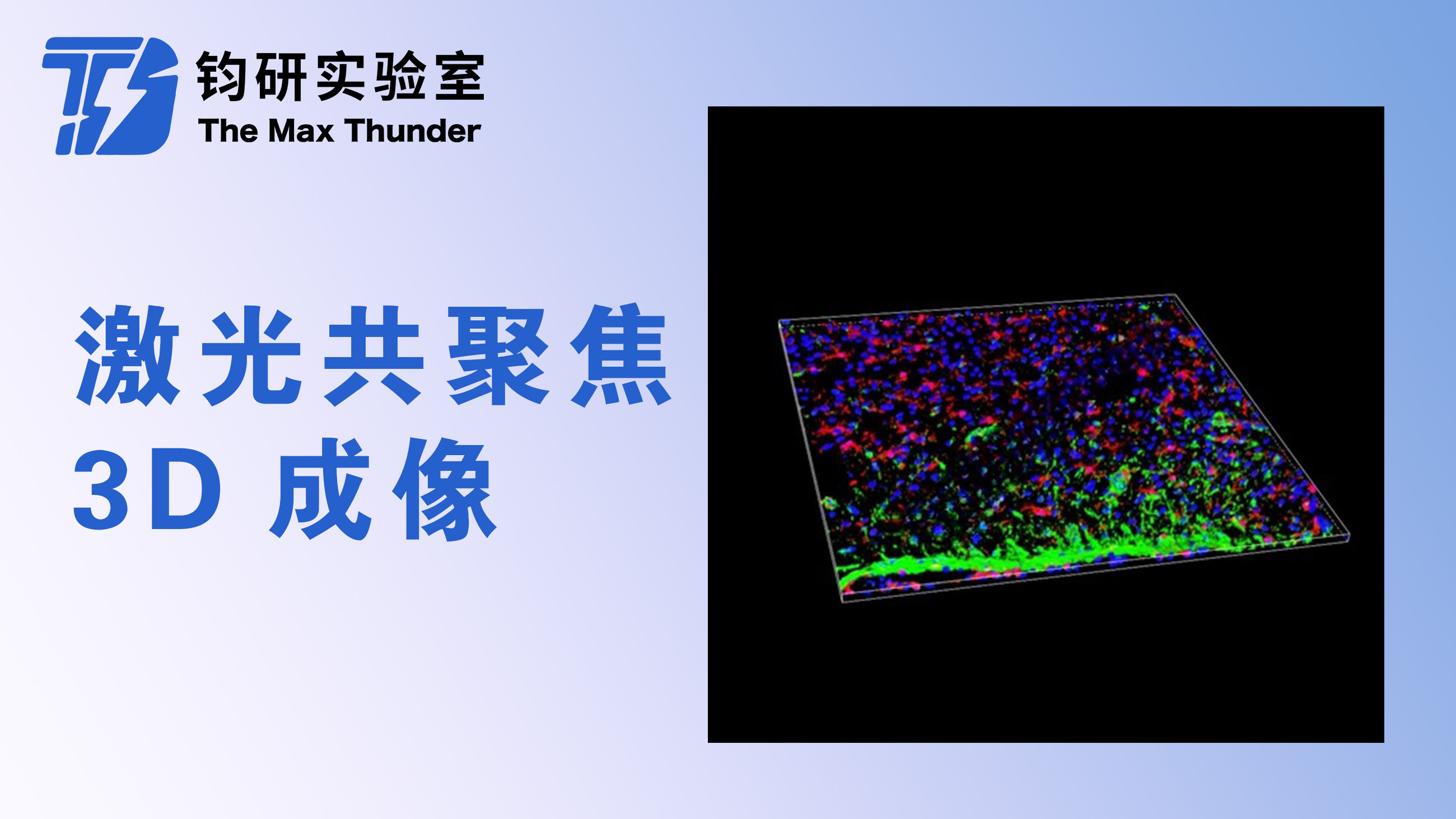 激光共聚焦3D成像