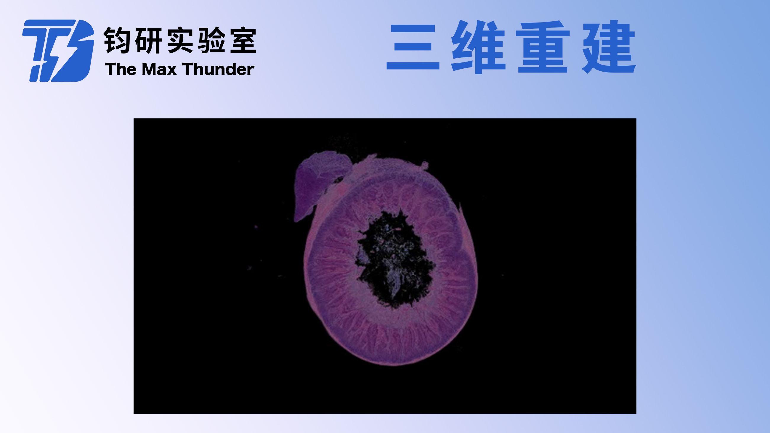 三维重建
