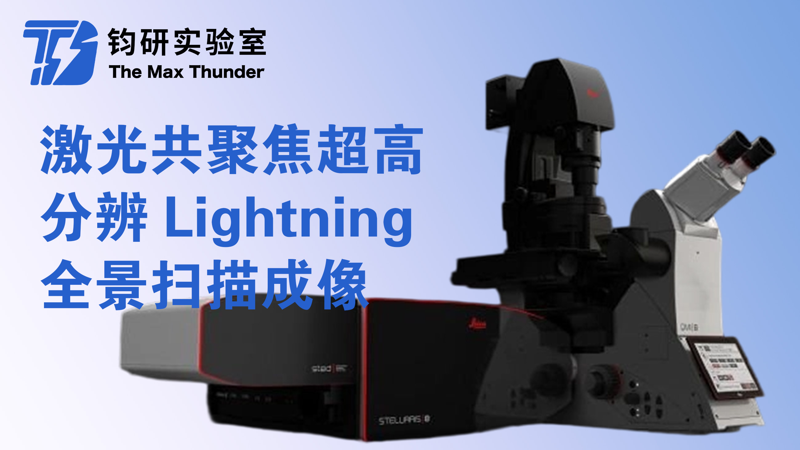 激光共聚焦超高分辨Lightning全景扫描成像