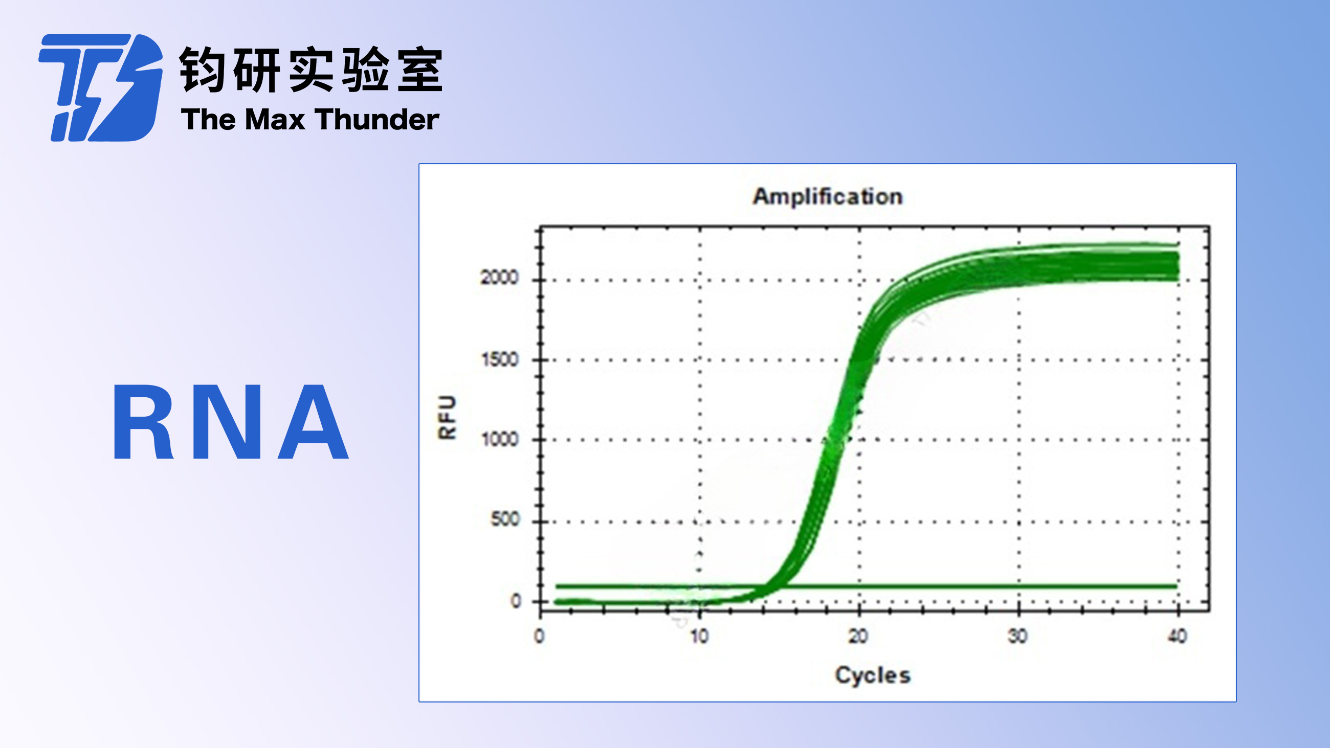 RNA