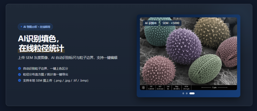 体验即送测试积分!SEM 智能填色与粒径分析 AI 工具,30 秒出粒径报告,识别准确率 95%+,6月23日正式开放使用