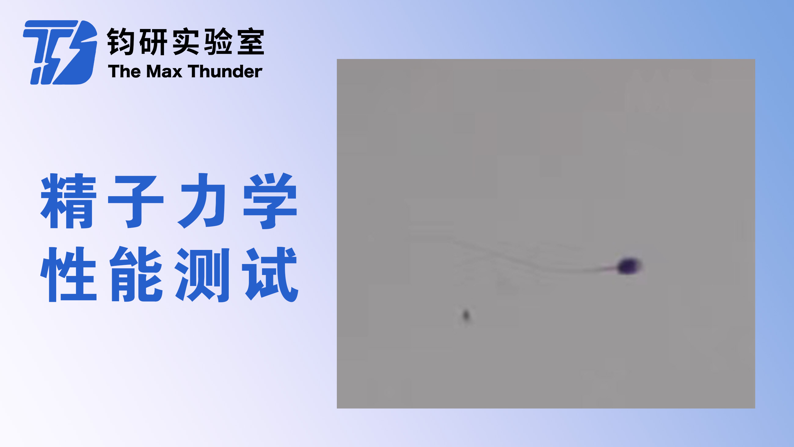 精子力学性能测试