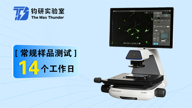 活细胞成像系统
