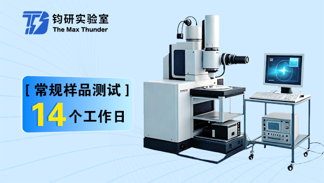 生物扫描电镜(SEM)