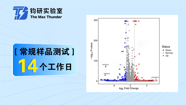 基因组/转录组测序