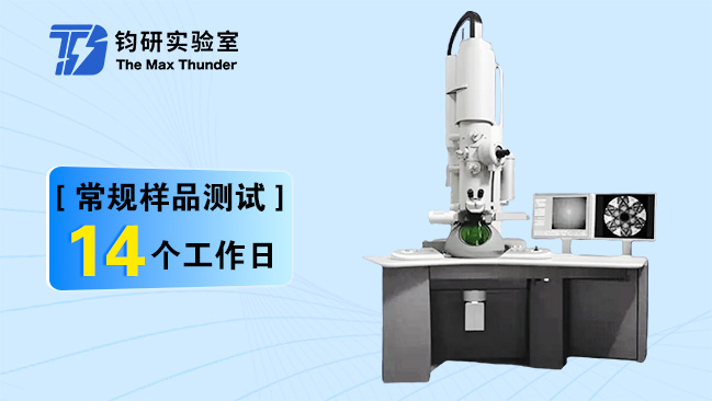 免疫电镜(IEM)