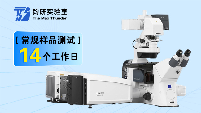 激光共聚焦