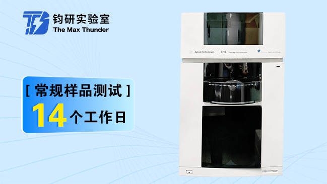 蛋白电泳系统