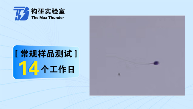 精子力学性能测试
